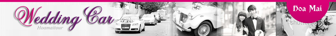 banner_head